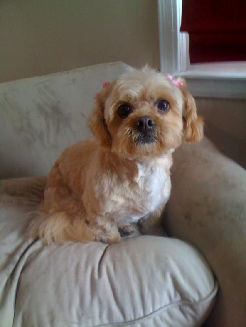Tiffany-ADOPTED