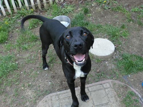 Mya-ADOPTED 05.21.11