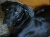 Mya-ADOPTED 05.21.11