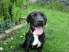 Mya-ADOPTED 05.21.11