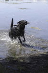 Toni - ADOPTED 07.02.11