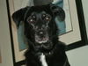 Toni - ADOPTED 07.02.11
