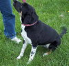 Nya - ADOPTED 09.22.11