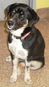 Nya - ADOPTED 09.22.11