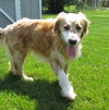 Mosby - ADOPTED 07.02.11