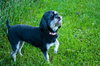 Fruitti - ADOPTED 06.12.11