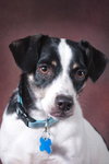 Snookie - ADOPTED 5.24.12