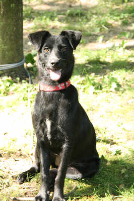 Tori-ADOPTED 6.20.11