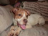 Twinkle - ADOPTED 9.5.11