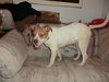 Twinkle - ADOPTED 9.5.11