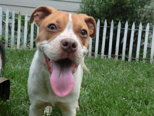 Twinkle - ADOPTED 9.5.11