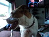 Twinkle - ADOPTED 9.5.11
