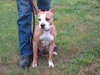 Diva-ADOPTED 08/16/12