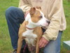 Diva-ADOPTED 08/16/12