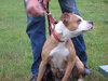 Diva-ADOPTED 08/16/12