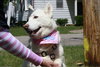 Snow White-ADOPTED 08.12.11