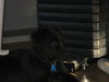 Tizzy - ADOPTED 08.31.11