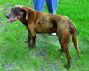 Bart-ADOPTED-11.23.11