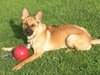 Rhianne - ADOPTED 11.05.11