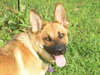 Rhianne - ADOPTED 11.05.11