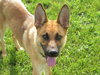 Rhianne - ADOPTED 11.05.11
