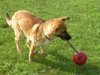 Rhianne - ADOPTED 11.05.11