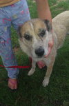 Momma Mia - ADOPTED 4.11.12