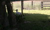 Shelby Sue - ADOPTED 08.05.11