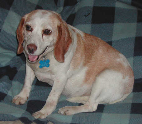 Tina - ADOPTED 08.26.12