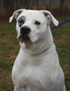 Mia - ADOPTED 02.16.14