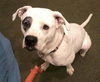 Mia - ADOPTED 02.16.14