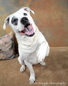 Mia - ADOPTED 02.16.14