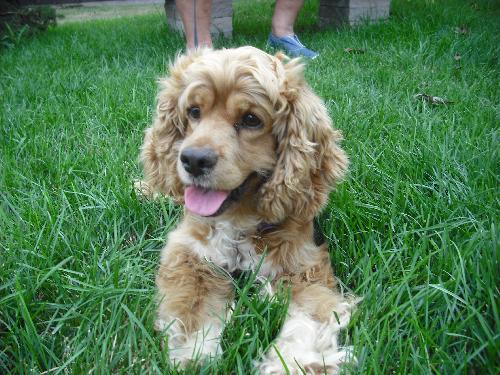 Sophia-ADOPTED 8.24.11
