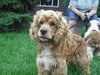Sophia-ADOPTED 8.24.11