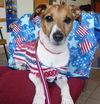 Marissa - ADOPTED 02.16.12