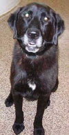 Maxwell-ADOPTED-1.19.12