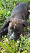 Tucker-ADOPTED 10.23.11