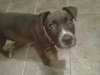 Tucker-ADOPTED 10.23.11