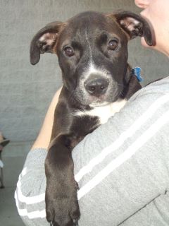Tucker-ADOPTED 10.23.11