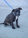 Tucker-ADOPTED 10.23.11