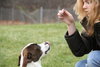 Rocky - ADOPTED 11.25.11