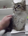 Tom - ADOPTED 9.30.11