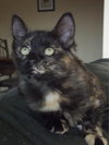 Snickers