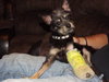 Scott - ADOPTED 12.18.11