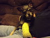 Scott - ADOPTED 12.18.11