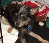 Scott - ADOPTED 12.18.11