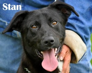 Stan-ADOPTED 12.02.12