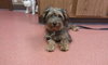 Andre-ADOPTED-10.26.11