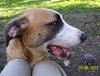 Roy - ADOPTED 04.17.12