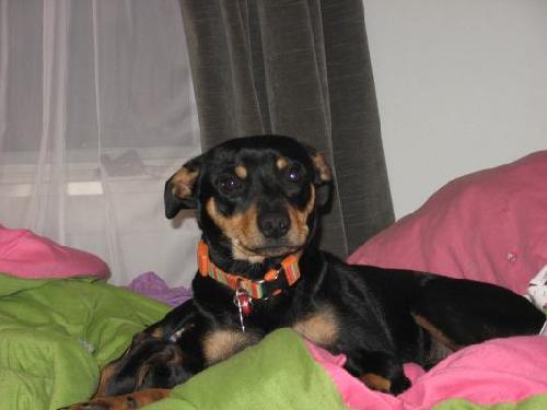 Flash2 - ADOPTED 12.18.11